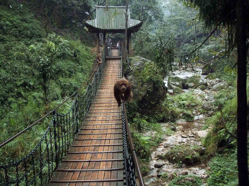 點擊查看源網頁