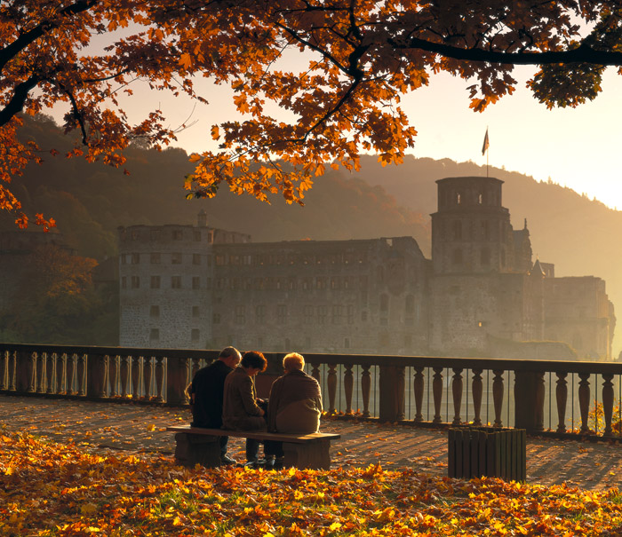 點(diǎn)擊查看源網(wǎng)頁(yè)